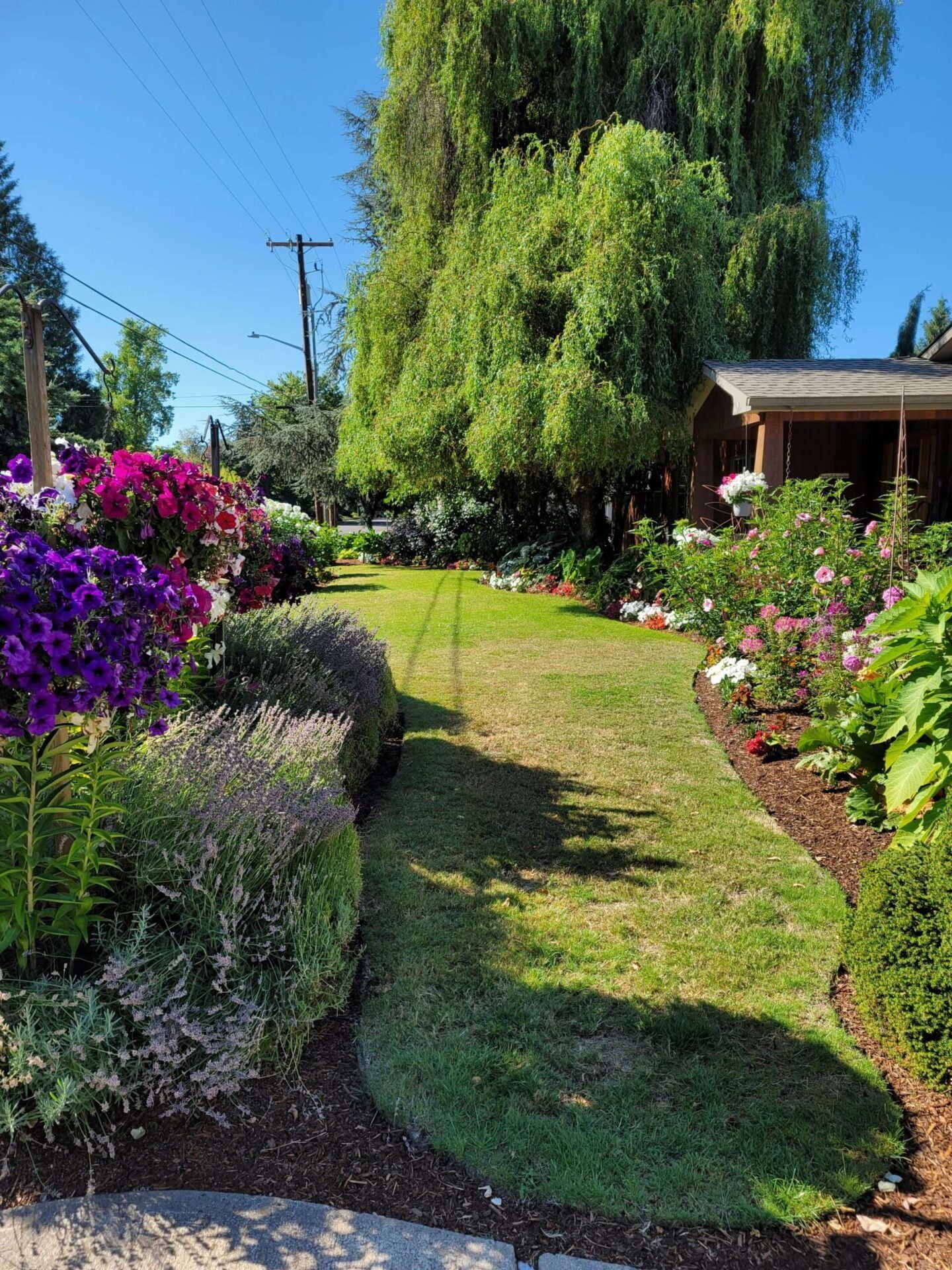 1815 nw michelbook image