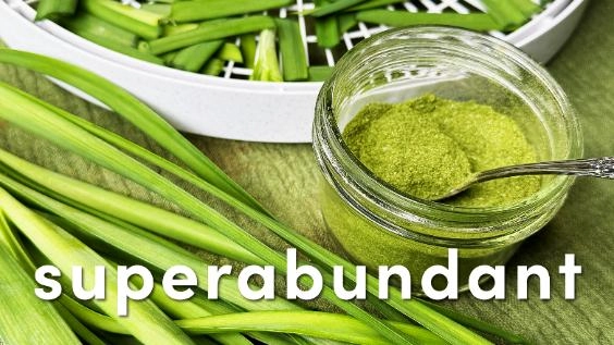 Powdered garlic chives