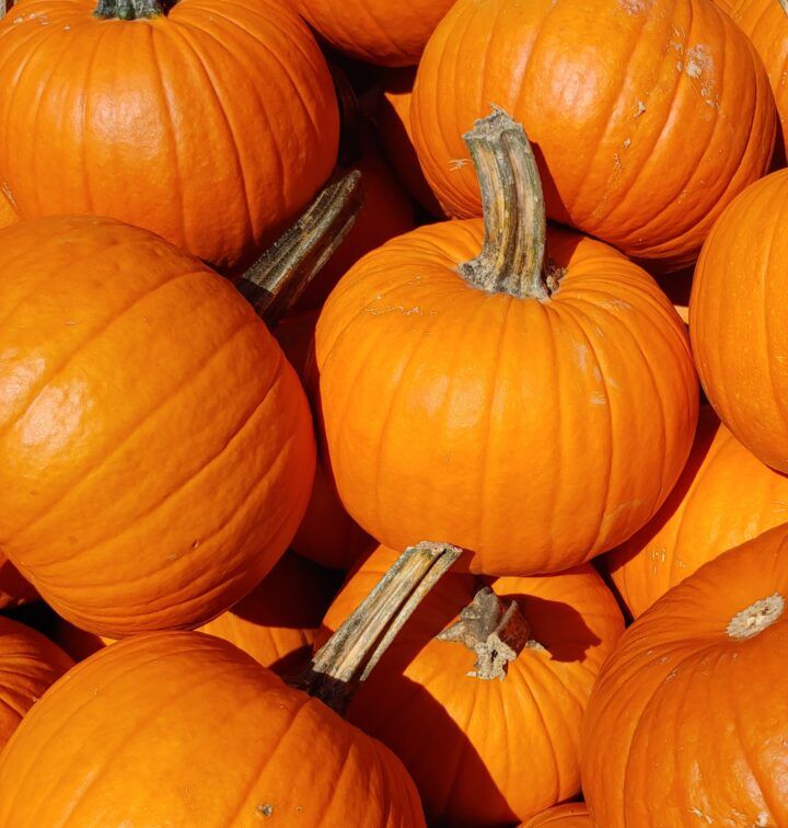 Pumpkins