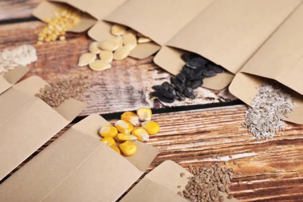 Saving seeds
