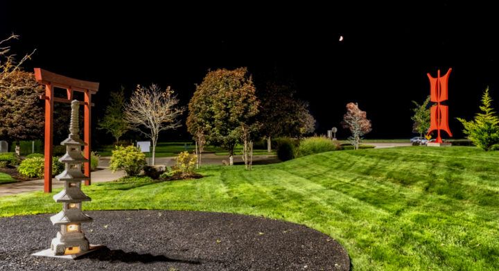 Serenity garden at night